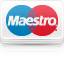 maestro card payments